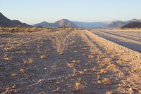 Impressionen Namibia (4) &ndash; &copy; Susanne Schirmann (Eberhardt TRAVEL)