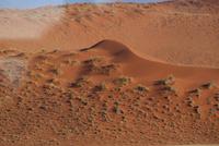 Impressionen Namibia (7) &ndash; &copy; Susanne Schirmann (Eberhardt TRAVEL)