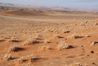 Namib Naukluft Park (2) &ndash; &copy; Susanne Schirmann (Eberhardt TRAVEL)
