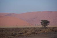 Namib Naukluft Park  &ndash; &copy; Susanne Schirmann (Eberhardt TRAVEL)