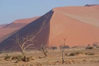 Namib Naukluft Park  &ndash; &copy; Susanne Schirmann (Eberhardt TRAVEL)