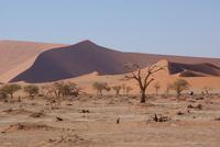 Namib Naukluft Park  &ndash; &copy; Susanne Schirmann (Eberhardt TRAVEL)
