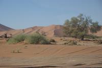 Namib Naukluft Park  &ndash; &copy; Susanne Schirmann (Eberhardt TRAVEL)