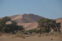 Namib Naukluft Park  &ndash; &copy; Susanne Schirmann (Eberhardt TRAVEL)