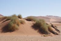 Sossusvlei  &ndash; &copy; Susanne Schirmann (Eberhardt TRAVEL)