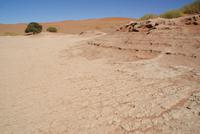 Sossusvlei  &ndash; &copy; Susanne Schirmann (Eberhardt TRAVEL)