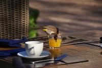 Prost &ndash; &copy; Susanne Schirmann (Eberhardt TRAVEL)