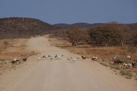 Auf nach Epupa &ndash; &copy; Susanne Schirmann (Eberhardt TRAVEL)