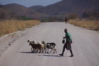 wer führt wen &ndash; &copy; Susanne Schirmann (Eberhardt TRAVEL)