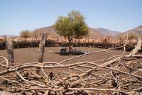 Kral (2) &ndash; &copy; Susanne Schirmann (Eberhardt TRAVEL)
