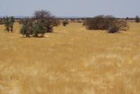 Etosha Park &ndash; &copy; Susanne Schirmann (Eberhardt TRAVEL)