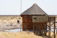 Etosha Park  &ndash; &copy; Susanne Schirmann (Eberhardt TRAVEL)