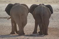 In Reih und Glied &ndash; &copy; Susanne Schirmann (Eberhardt TRAVEL)