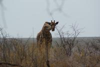 Was guckst du &ndash; &copy; Susanne Schirmann (Eberhardt TRAVEL)