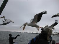 Wir haben Hunger &ndash; &copy; Annette Zocher (Eberhardt TRAVEL)