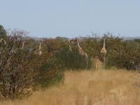 &copy; Annette Zocher (Eberhardt TRAVEL)