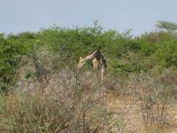 &copy; Annette Zocher (Eberhardt TRAVEL)
