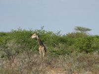 &copy; Annette Zocher (Eberhardt TRAVEL)