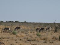 &copy; Annette Zocher (Eberhardt TRAVEL)
