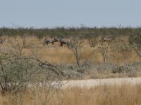 &copy; Annette Zocher (Eberhardt TRAVEL)