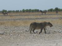 &copy; Annette Zocher (Eberhardt TRAVEL)
