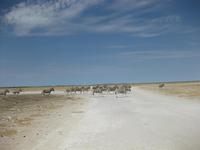 &copy; Annette Zocher (Eberhardt TRAVEL)