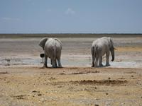 &copy; Annette Zocher (Eberhardt TRAVEL)
