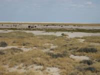 &copy; Annette Zocher (Eberhardt TRAVEL)