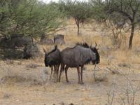 &copy; Annette Zocher (Eberhardt TRAVEL)