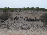 &copy; Annette Zocher (Eberhardt TRAVEL)