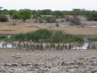 &copy; Annette Zocher (Eberhardt TRAVEL)