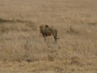 &copy; Annette Zocher (Eberhardt TRAVEL)
