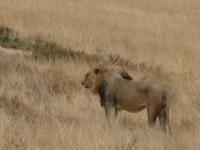 &copy; Annette Zocher (Eberhardt TRAVEL)