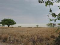 Die Etosha-Pfanne &ndash; &copy; Annette Zocher (Eberhardt TRAVEL)