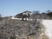 &copy; Annette Zocher (Eberhardt TRAVEL)