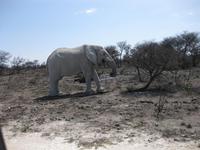&copy; Annette Zocher (Eberhardt TRAVEL)