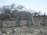 &copy; Annette Zocher (Eberhardt TRAVEL)