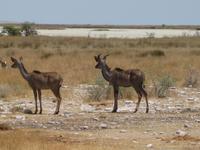 &copy; Annette Zocher (Eberhardt TRAVEL)