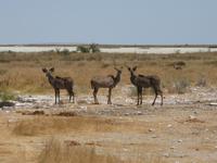 &copy; Annette Zocher (Eberhardt TRAVEL)