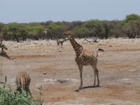 &copy; Annette Zocher (Eberhardt TRAVEL)