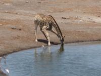 &copy; Annette Zocher (Eberhardt TRAVEL)