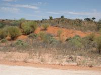 In der Kalahari &ndash; &copy; Annette Zocher (Eberhardt TRAVEL)