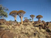 &copy; Annette Zocher (Eberhardt TRAVEL)