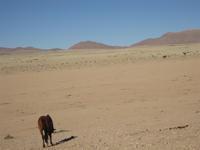 &copy; Annette Zocher (Eberhardt TRAVEL)
