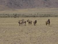 &copy; Annette Zocher (Eberhardt TRAVEL)
