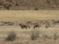 &copy; Annette Zocher (Eberhardt TRAVEL)