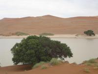 Sossusvlei &ndash; &copy; Annette Zocher (Eberhardt TRAVEL)