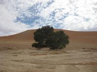 &copy; Annette Zocher (Eberhardt TRAVEL)