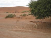 &copy; Annette Zocher (Eberhardt TRAVEL)