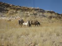 &copy; Annette Zocher (Eberhardt TRAVEL)
